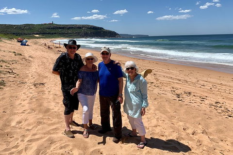 Shore Excursion: Sydney's Northern Beaches & Ku-ring-gai National Park Bus Tour - Find Attractions 3