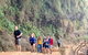 Blue Mountains Private Tour From Sydney, & Featherdale Aussie Animal Park Option - thumb 4