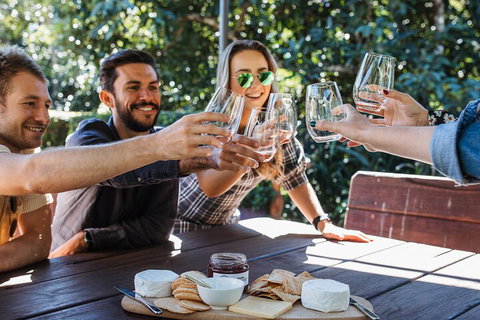 Full-day Wine-Tasting And Tamborine Mountain Tour With Lunch - Find Attractions 0