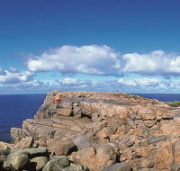 4 Day Tour Albany Margaret River Valley of the Giants TreeTop Walk from Perth - Find Attractions