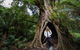 Two Day Melbourne To Adelaide Tour - Great Ocean Road & Grampians - thumb 4
