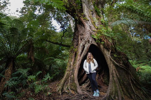 Two Day Melbourne To Adelaide Tour - Great Ocean Road & Grampians - Find Attractions 4