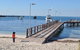 Monkey Mia Dolphins & Shark Bay Air Tour From Perth - thumb 0