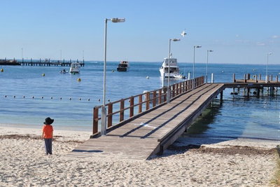 Monkey Mia Dolphins  Shark Bay Air Tour From Perth