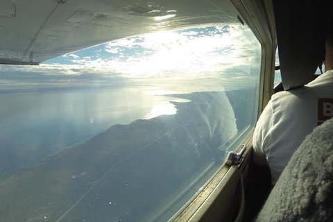 Monkey Mia Dolphins & Shark Bay Air Tour From Perth - Find Attractions 1