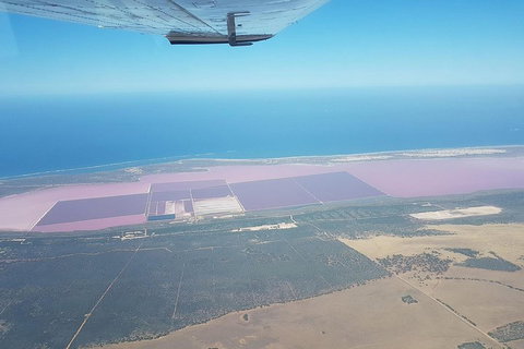 Monkey Mia Dolphins & Shark Bay Air Tour From Perth - Find Attractions 5