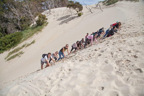 3 Day Tasmanian Wild West Coast Tour From Hobart To Launceston - Find Attractions 2