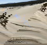 Port Stephens Bush Beach and Sand Dune 4WD Tag-Along Tour - Find Attractions