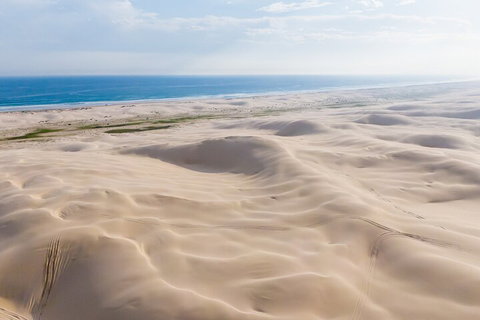 Port Stephens Bush, Beach And Sand Dune 4WD Passenger Tour - Find Attractions 2