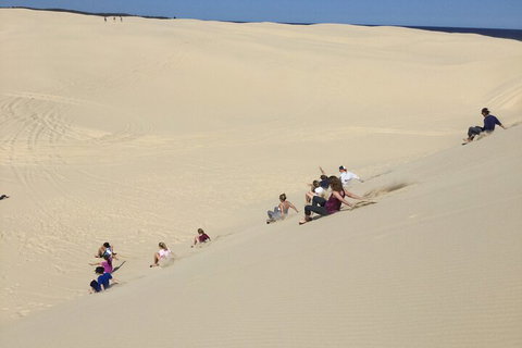 Port Stephens Bush, Beach And Sand Dune 4WD Passenger Tour - Find Attractions 4