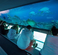 Great Barrier Reef Day Cruise to Reefworld - Find Attractions