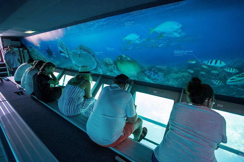 Great Barrier Reef Day Cruise To Reefworld - Find Attractions 0