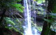 Mt Field National Park And Russell Falls From Hobart - thumb 0