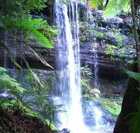 Mt Field National Park and Russell Falls from Hobart - Find Attractions
