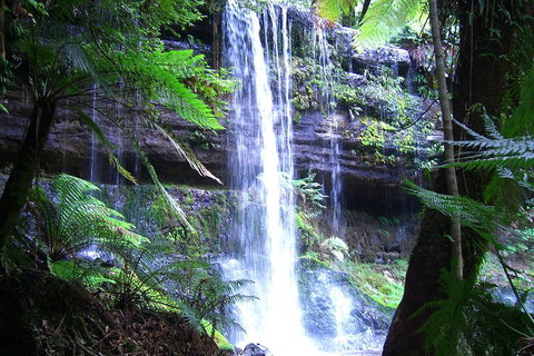 Mt Field National Park And Russell Falls From Hobart - Find Attractions 0