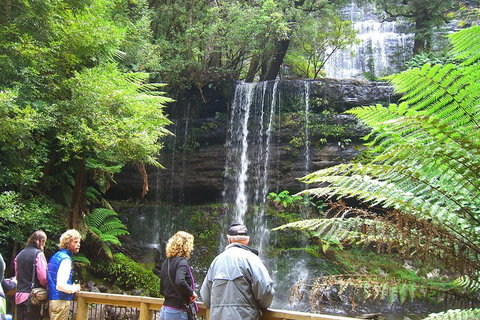 Mt Field National Park And Russell Falls From Hobart - Find Attractions 1
