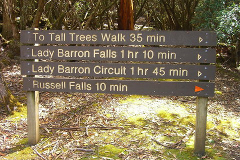 Mt Field National Park And Russell Falls From Hobart - Find Attractions 2