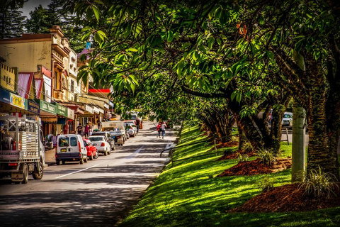 Fully Inclusive Blue Mountains Private Tour Inc Scenic World & Featherdale Entry - Find Attractions 0