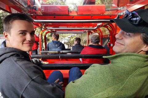 Fully Inclusive Blue Mountains Private Tour Inc Scenic World & Featherdale Entry - Find Attractions 1