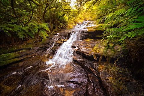 Fully Inclusive Blue Mountains Private Tour Inc Scenic World & Featherdale Entry - Find Attractions 3