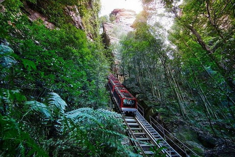 Fully Inclusive Blue Mountains Private Tour Inc Scenic World & Featherdale Entry - Find Attractions 4