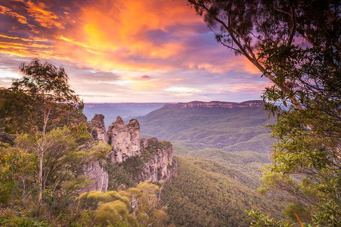 Fully Inclusive Blue Mountains Private Tour Inc Scenic World & Featherdale Entry - Find Attractions 5