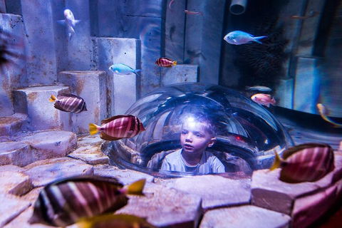 Melbourne BIG Ticket - LEGOLAND Discovery And SEA LIFE Melbourne - Find Attractions 5