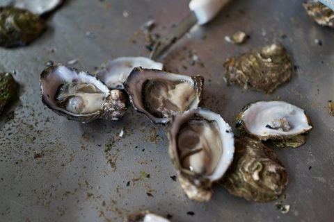 Fine Flavours - Full Day Kangaroo Island Food & Wine Tour - Find Attractions 2
