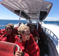 Adventure Rottnest Tour with Ferry  Adventure Cruise from Perth or Fremantle - Find Attractions