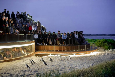 2-Day Great Ocean Road, Mornington Peninsula And Phillip Island Tour - Find Attractions 0