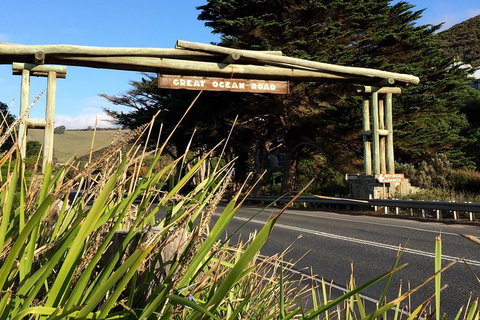 2-Day Great Ocean Road, Mornington Peninsula And Phillip Island Tour - Find Attractions 4