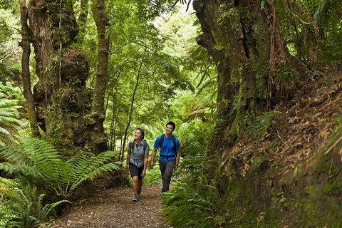 2-Day Great Ocean Road, Mornington Peninsula And Phillip Island Tour - Find Attractions 5