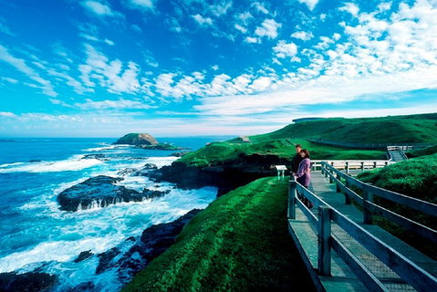 Puffing Billy, Moonlit Sanctuary & Penguins Day Tour - Find Attractions 2