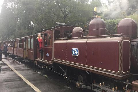 Puffing Billy, Moonlit Sanctuary & Penguins Day Tour - Find Attractions 4