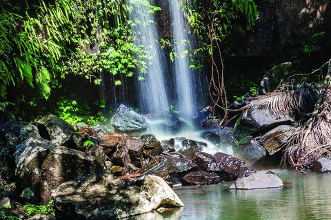 Full Day Small Group Luxury Tour To Tamborine Mountain - Find Attractions 0