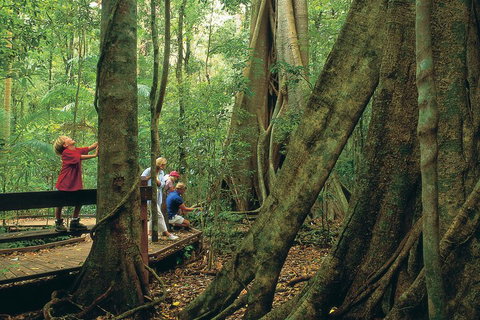 Full Day Small Group Luxury Tour To Tamborine Mountain - Find Attractions 1