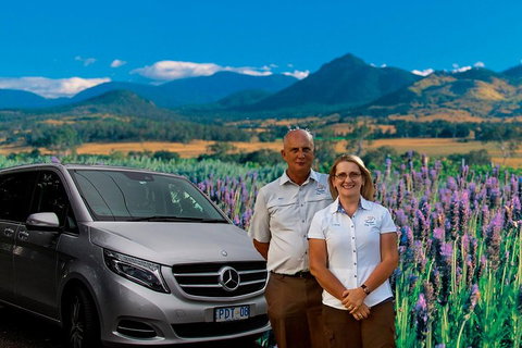 Full Day Small Group Luxury Tour To Tamborine Mountain - Find Attractions 3