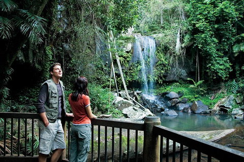 Full Day Small Group Luxury Tour To Tamborine Mountain - Find Attractions 4