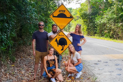 Cape Tribulation, Daintree Rainforest And Wildlife Tour - Find Attractions 0