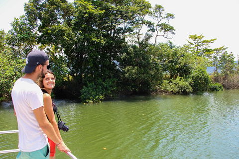 Cape Tribulation, Daintree Rainforest And Wildlife Tour - Find Attractions 2