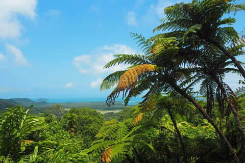 Cape Tribulation, Daintree Rainforest And Wildlife Tour - Find Attractions 3