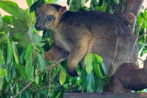 Virtual Interactive Australian Wildlife Tour With Private Guide-Wildlife Habitat - Find Attractions 4