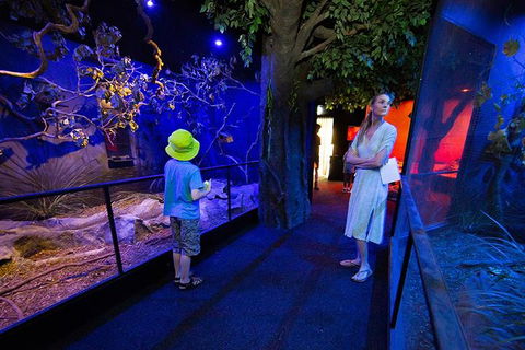 Wildlife Habitat Port Douglas - Find Attractions 4