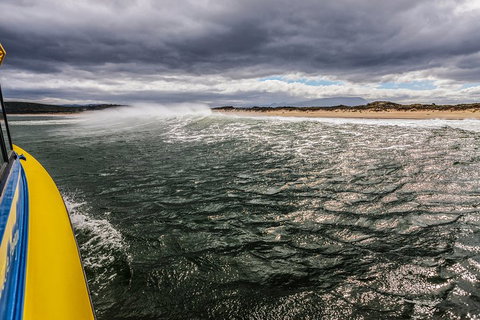 Hobart Sightseeing Cruise Including Iron Pot Lighthouse - Find Attractions 3