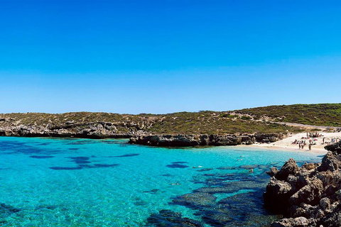 Rottnest Island Roundtrip Fast Ferry From Hillarys Boat Harbour - Find Attractions 4