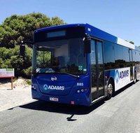 Rottnest Bayseeker Bus Tour from Hillarys Boat Harbour - Find Attractions