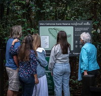 Sunshine Coast Hinterland and Noosa Day Trip from Brisbane Including Eumundi Markets and Ginger Factory - Find Attractions