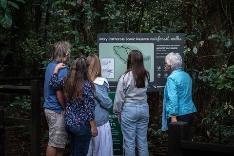 Sunshine Coast Hinterland And Noosa Day Trip From Brisbane Including Eumundi Markets And Ginger Factory - Find Attractions 0