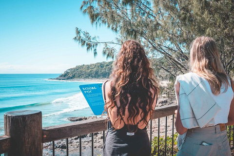 Sunshine Coast Hinterland And Noosa Day Trip From Brisbane Including Eumundi Markets And Ginger Factory - Find Attractions 2