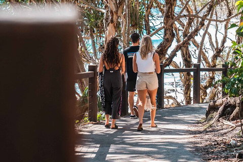 Sunshine Coast Hinterland And Noosa Day Trip From Brisbane Including Eumundi Markets And Ginger Factory - Find Attractions 4